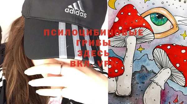 трава Нязепетровск