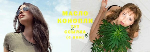 метадон Няндома