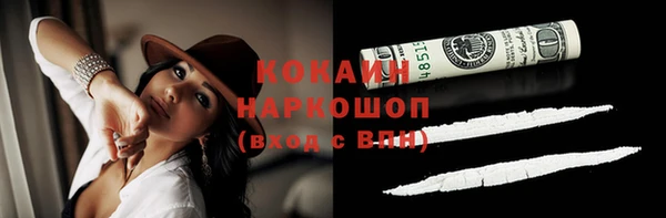 твердый Осинники