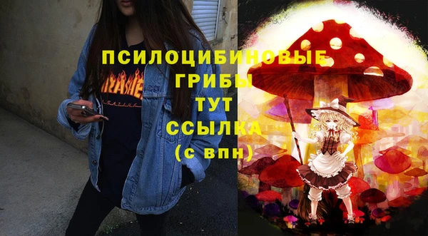 твердый Осинники