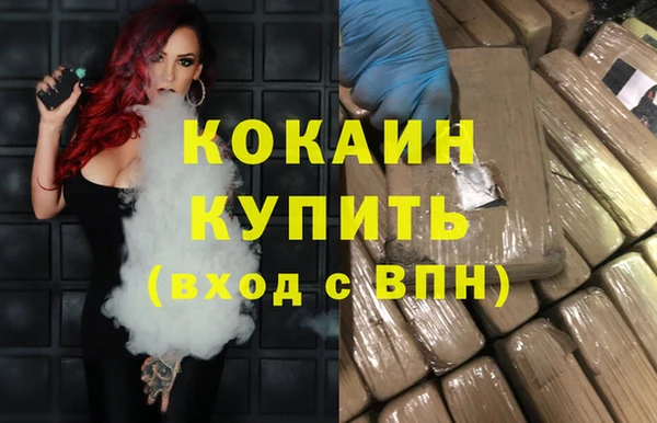 твердый Осинники