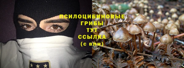 метадон Няндома